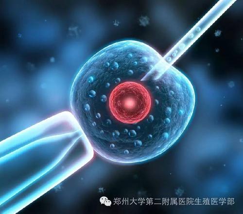 广州正规供卵生殖中心:广州试管婴儿中PGD和PGS、aCGh和SNP的区别。