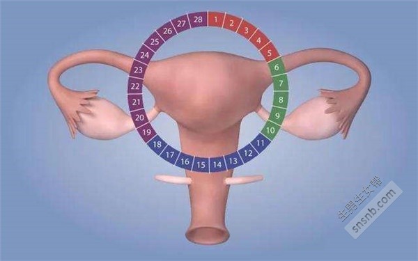 胚胎移植前如何调节稀薄的子宫内膜？我可以做试管婴儿吗？