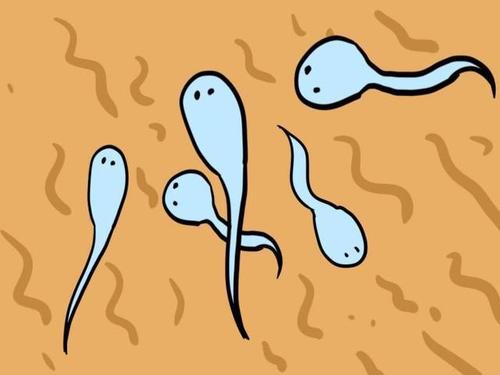 在试管婴儿过程中，男性精子是如何被处理和优化的。