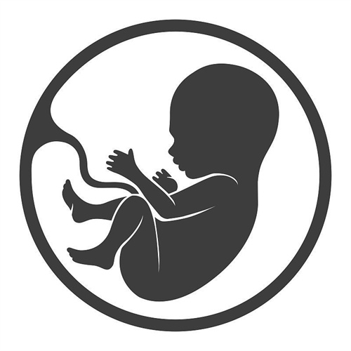 滁州56岁助孕生子-广州最好的试管婴儿机构名单（附热门试管婴儿诊所导航）。